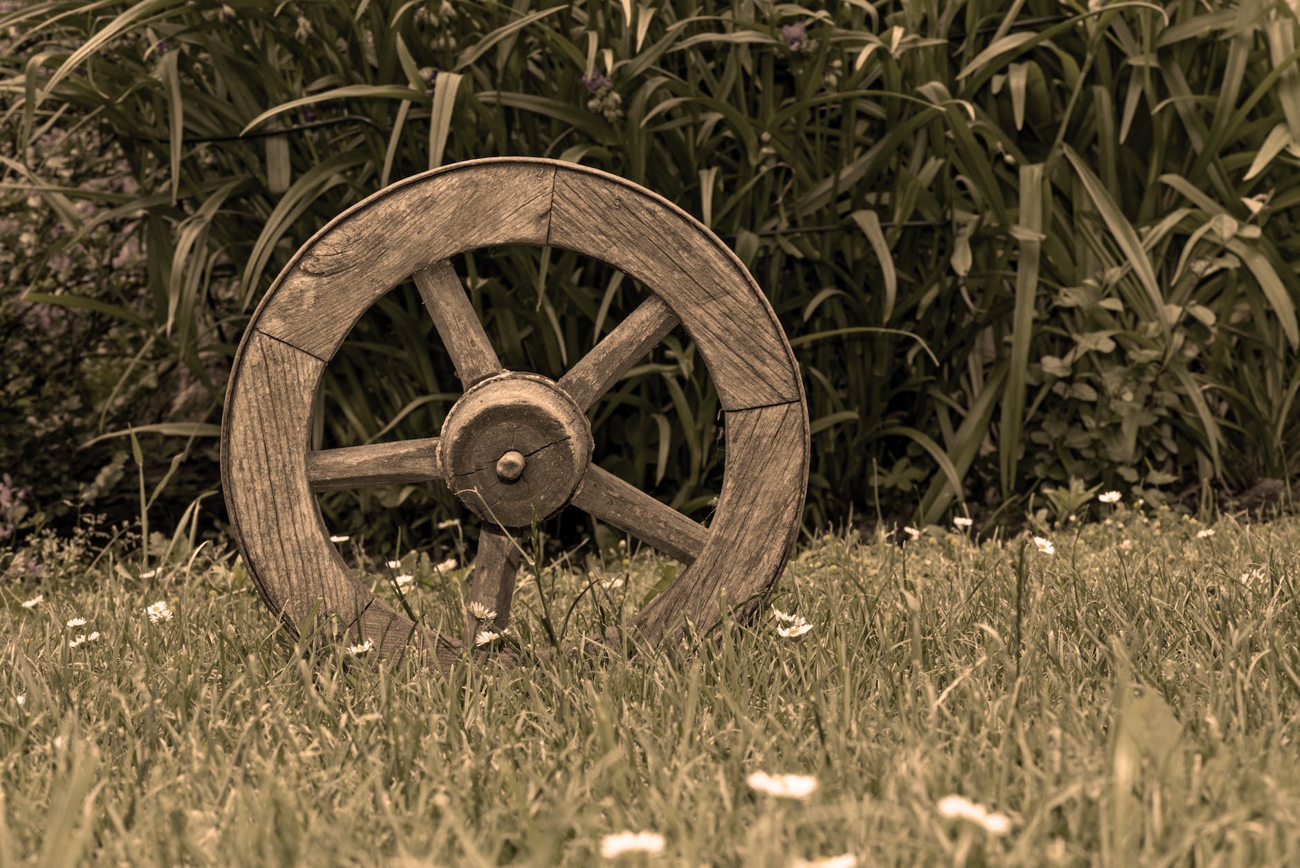 brown wooden wheel on top of green grass