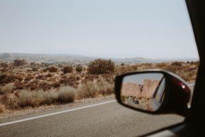 asphalt road near savanna with bushes