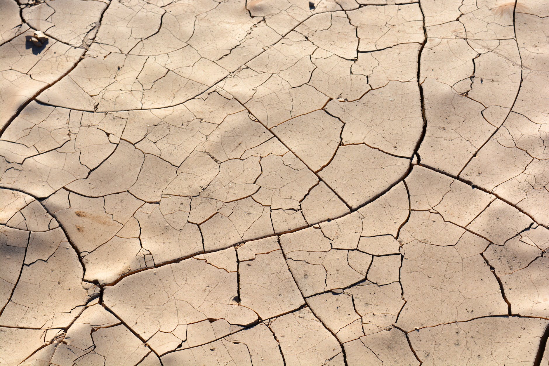 dry cracked land