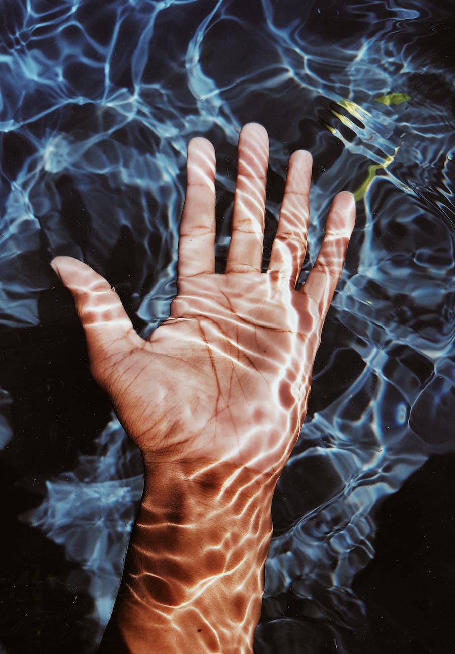 photo of person s hand submerged in water