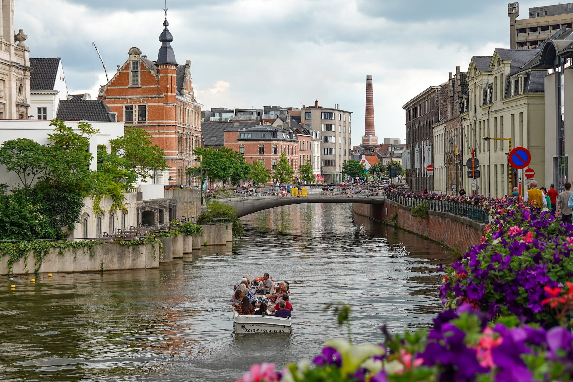 a picturesque shot of gent